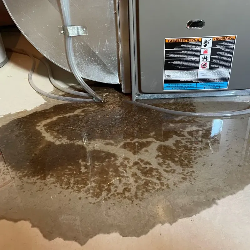 Pipe Burst and Leak Restoration in Near South Side, IL