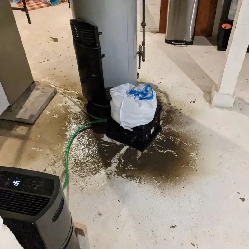 Sewage Backup Cleanup Service in Near South Side, IL